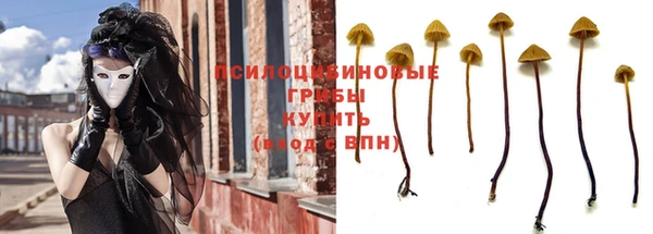 прущая мука Алзамай